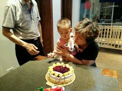 -喜莲娜动物奶油生日蛋糕(黄村店)