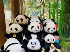 -轩客会(熊猫书店)