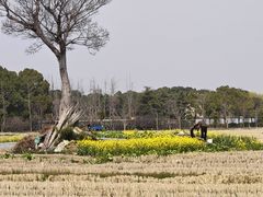 -嘉北郊野公园