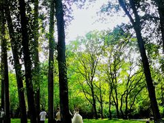 -晋祠公园