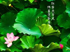 -西南交通大学(九里校区)