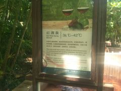 -三亚珠江南田温泉度假区