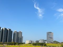 -光明小镇欢乐田园