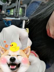 -極致刺青TATTOO STUDIO 私人订制