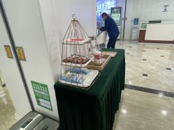 点击看大图 -重庆军科整形美容医院