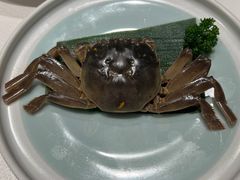醉蟹-上海老饭店(北京分店)