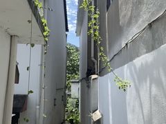 -她说户外烧烤团建(西湖店)