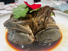 -南山饭店(阳明古镇店)