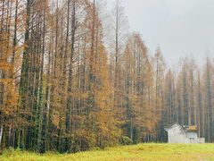 -山王坪喀斯特国家生态公园