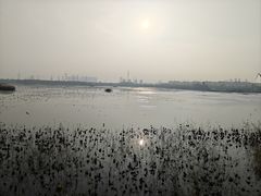 -天津东丽湖风景区