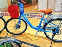-xds喜德盛自行车(滴水湖店)