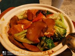 -T館·花园艺术餐厅