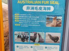 -海合安成都极地海洋公园