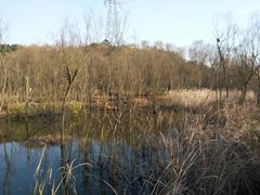 -西湖风景区-江洋畈生态公园