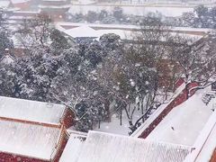-故宫博物院(故宫)