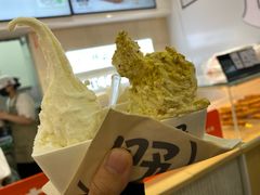 -野人先生现做冰淇淋(西安赛格店)