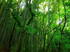 -穹窿山景区