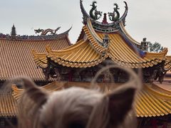 -梵天禅寺