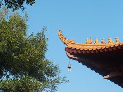 -深圳仙湖植物园