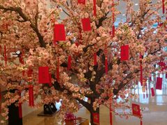 -国家会议中心大酒店