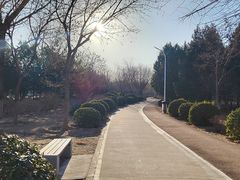 -绿堤公园