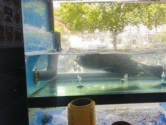 -老农民柴火灶鲜鱼馆