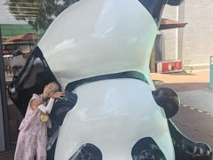 -西霞口神雕山野生动物世界