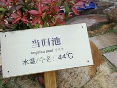 -汤泊温泉度假村