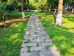 -辽宁大学(崇山校区)