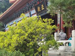 -南沙天后宫景区