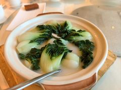 鸡汁白菜仔-利苑酒家(合景国际金融广场店)