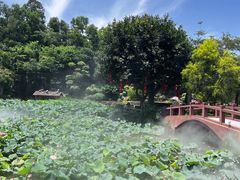 -广州莲花山旅游区