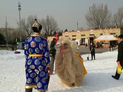 -北京亚布洛尼朝阳公园滑雪场
