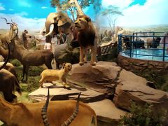 -陕西自然博物馆