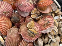 -山东八大碗山东老字号