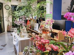 -弗劳尔花艺坊(龙涛店)
