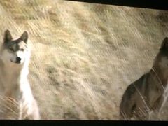 幸福蓝海国际影城(铜陵店)-幸福蓝海国际影城(铜陵店)