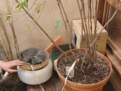 -富桂厨房