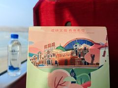 -沈阳南站