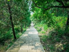 -北京十三陵国家森林公园蟒山景区