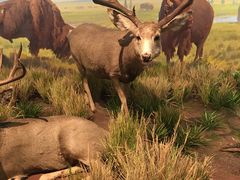 -陕西自然博物馆