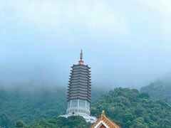 -深圳仙湖植物园