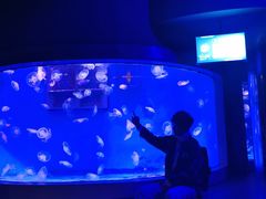 -大连圣亚海洋世界