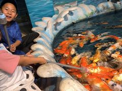 -泉州海丝野生动物世界