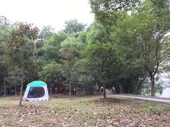 -东湖落雁景区
