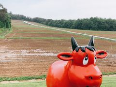 -大连铭湖国际观光牧场