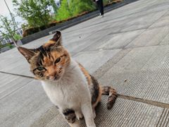 -安徽大学(磬苑校区)