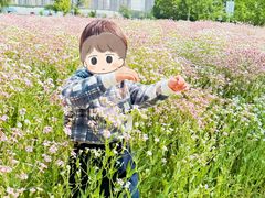 -菊园百果园