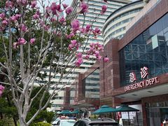 -上海市东方医院(总院)