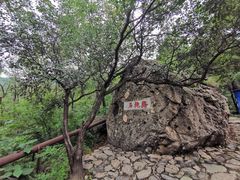 -阳台山自然风景区